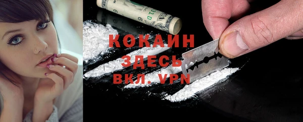 прущие грибы Куйбышев
