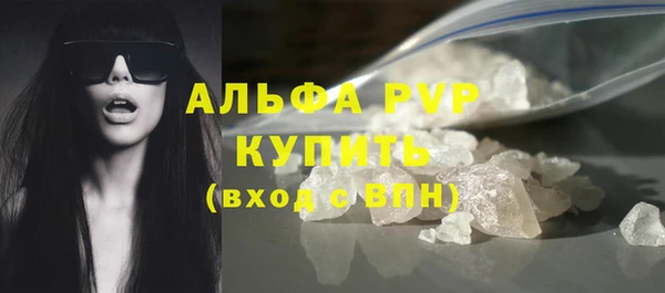 прущие грибы Куйбышев
