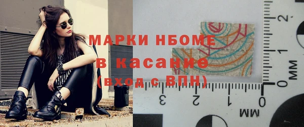 прущие грибы Куйбышев